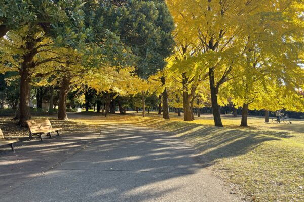 The autumn leaves at Kiyosumi Park were beautiful.