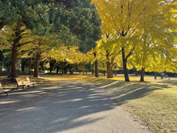 The autumn leaves at Kiyosumi Park were beautiful.