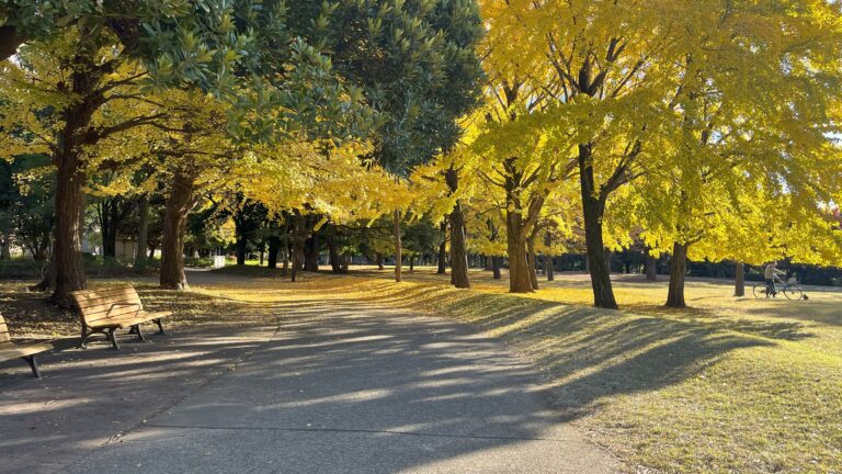 清澄公園の紅葉