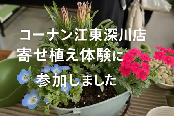 🌸【初心者でも簡単】ホームセンターで寄せ植え体験！可愛い花鉢を作ってきました【コーナン江東深川店】