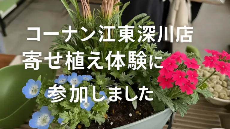 初めて作った可愛い寄せ植え鉢