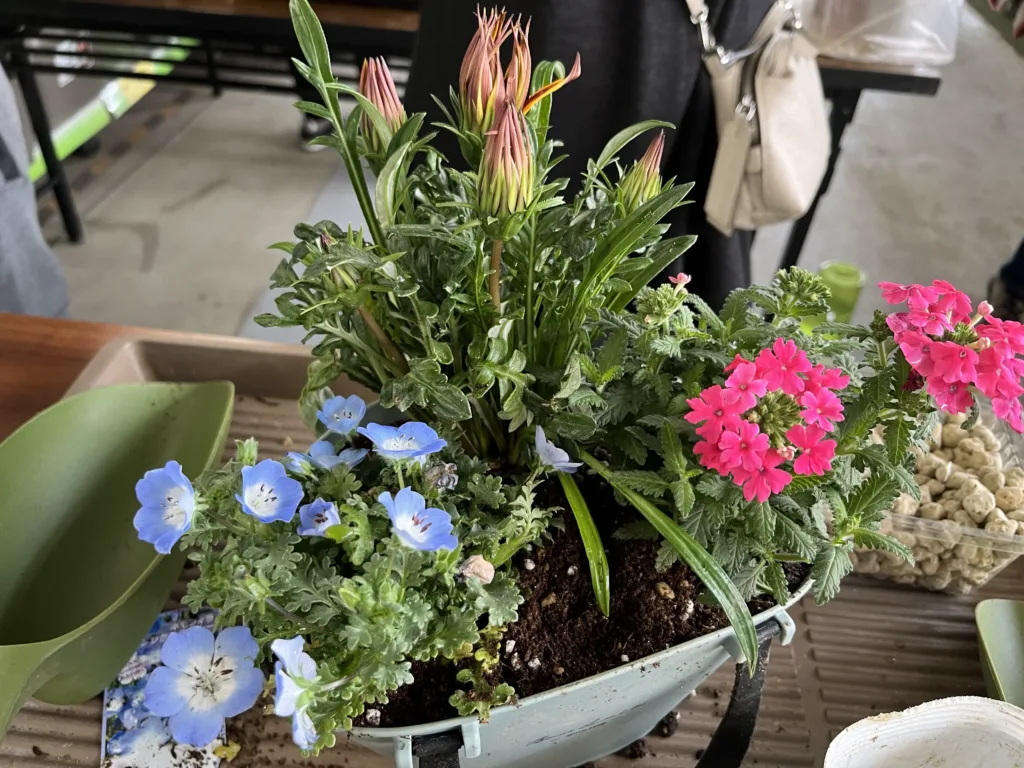 完成した寄せ植えの写真